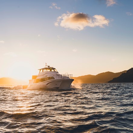 A Cougar Line boat cruises into Queen Charlotte Sound/Tōtaranui while the sun rises behind it in the Marlborough Sounds, New Zealand