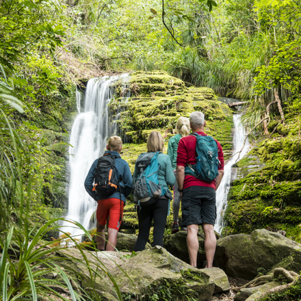 Family of four standing in front of a waterfall in the bush on the Queen Charlotte Track.