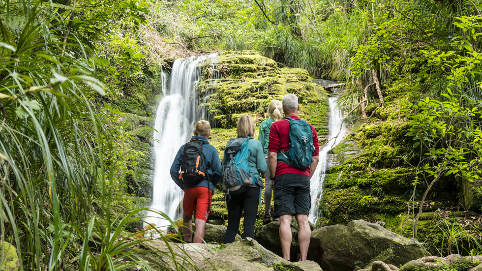 Family of four standing in front of a waterfall in the bush on the Queen Charlotte Track.
