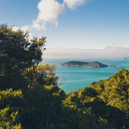 View north of Motuara Island from the hilltop Ship Cove/Resolution Bay lookout on the Queen Charlotte Track.
