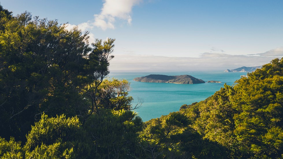 View north of Motuara Island from the hilltop Ship Cove/Resolution Bay lookout on the Queen Charlotte Track.