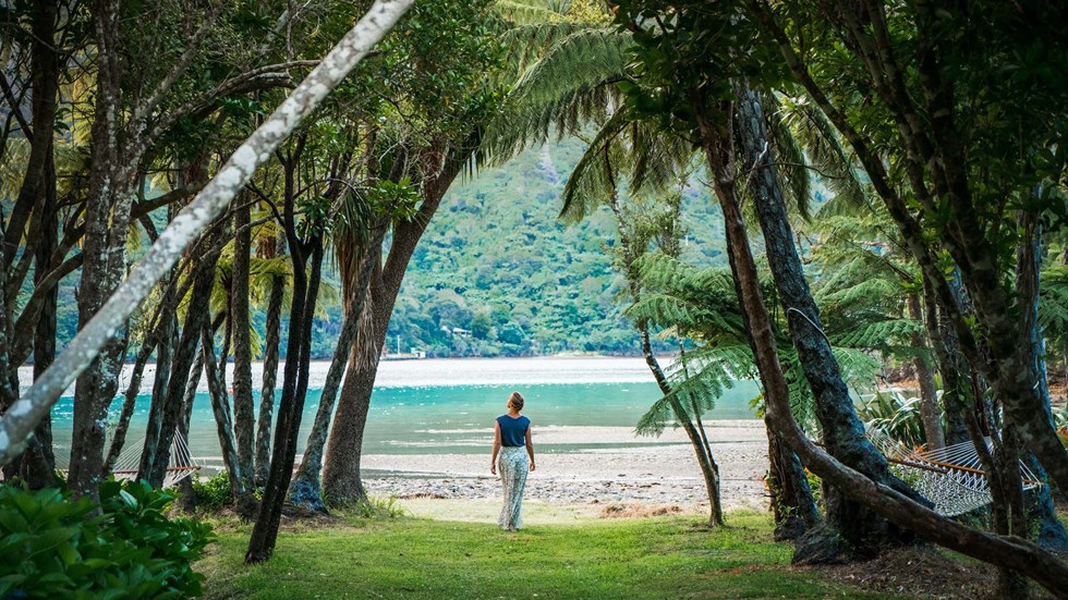 Woman by water on lawn with ponga fern trees overhead, in the Marlborough Sounds at the top of New Zealand's South Island.