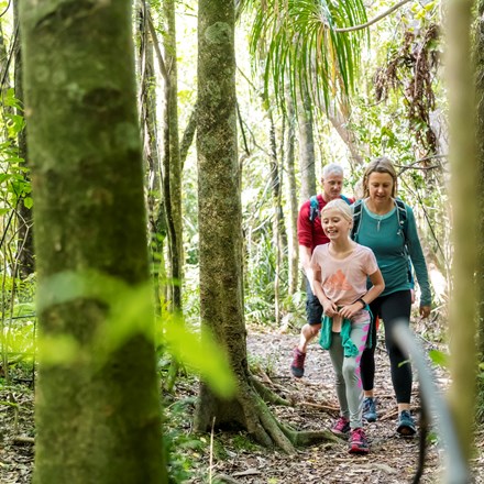 A family of four explore one of the Punga Cove tracks and native bush in the Marlborough Sounds in New Zealand's top of the South Island