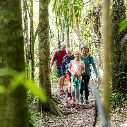 Family walks through New Zealand native forest along the Queen Charlotte Track in New Zealand's Marlborough Sounds.