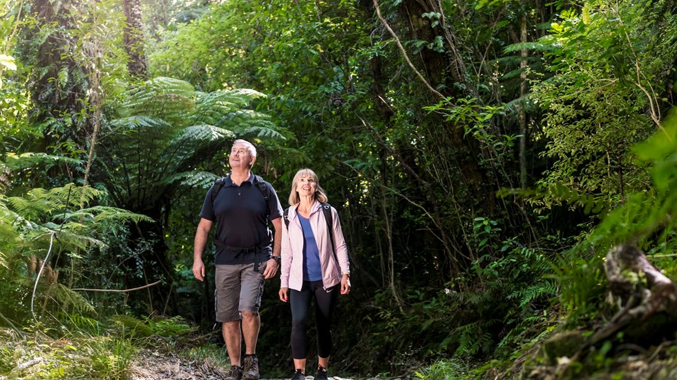 Couple walk through native New Zealand forest along the Queen Charlotte Track in the Marlborough Sounds.